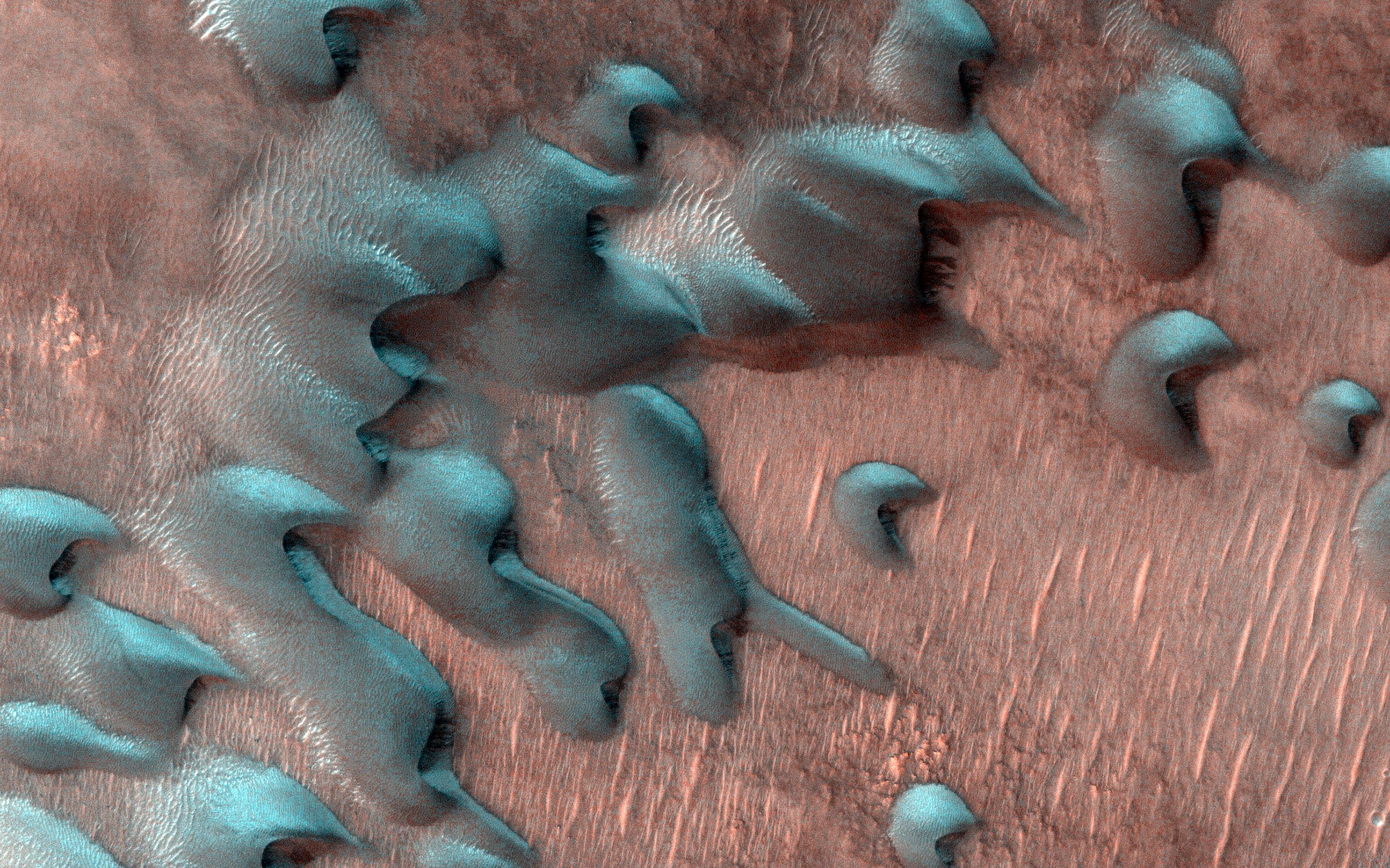 Frosted Dunes in the Depths of Winter — Mars image from the NASA archive